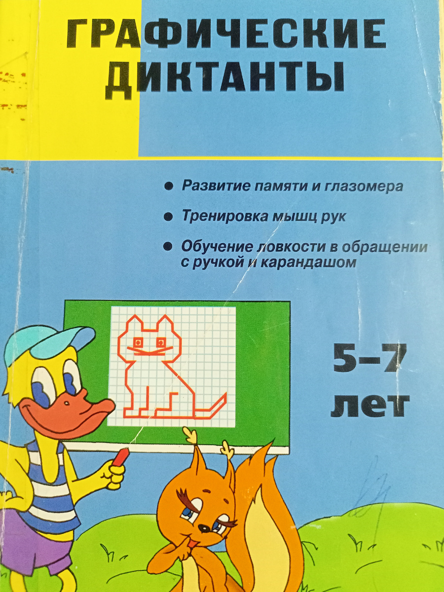 Фото автора канала. Помята, растрёпана и частично расклеена от постоянного использования.