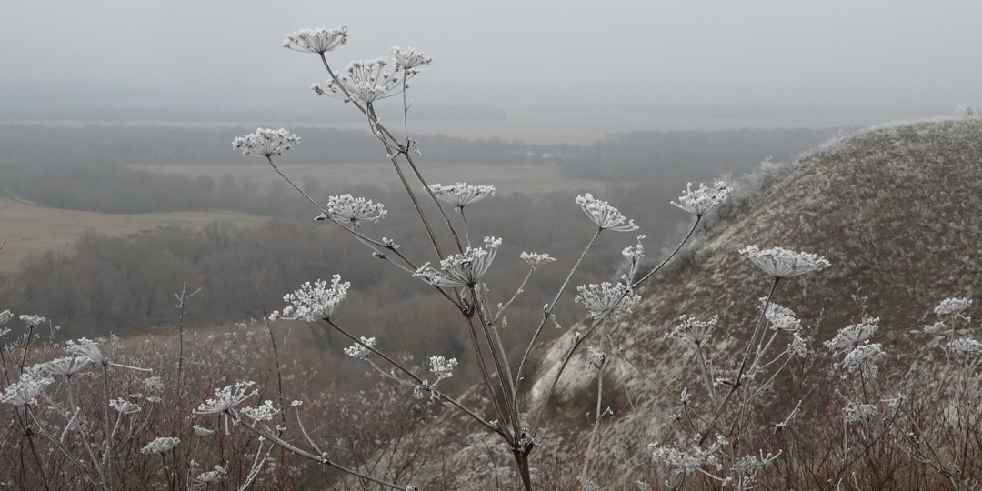 Заснеженные ландшафты Дивногорья