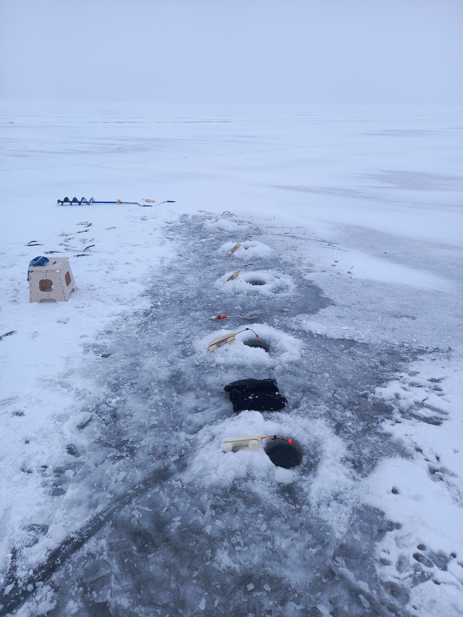 Процесс пошёл!