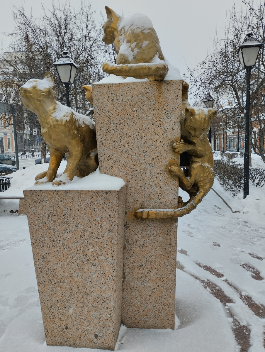 Сквер сибирских кошек 