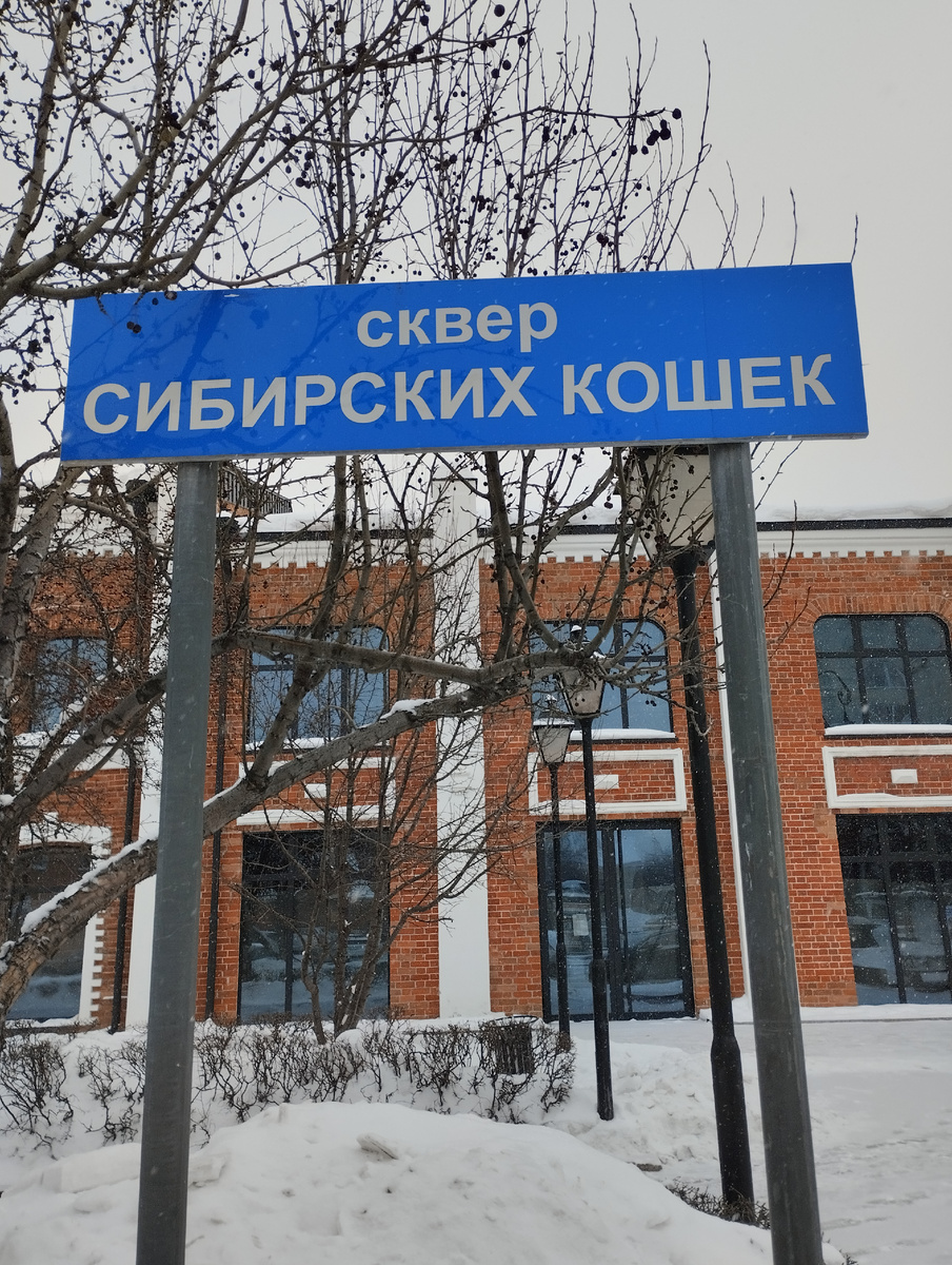 Табличка с названием сквера