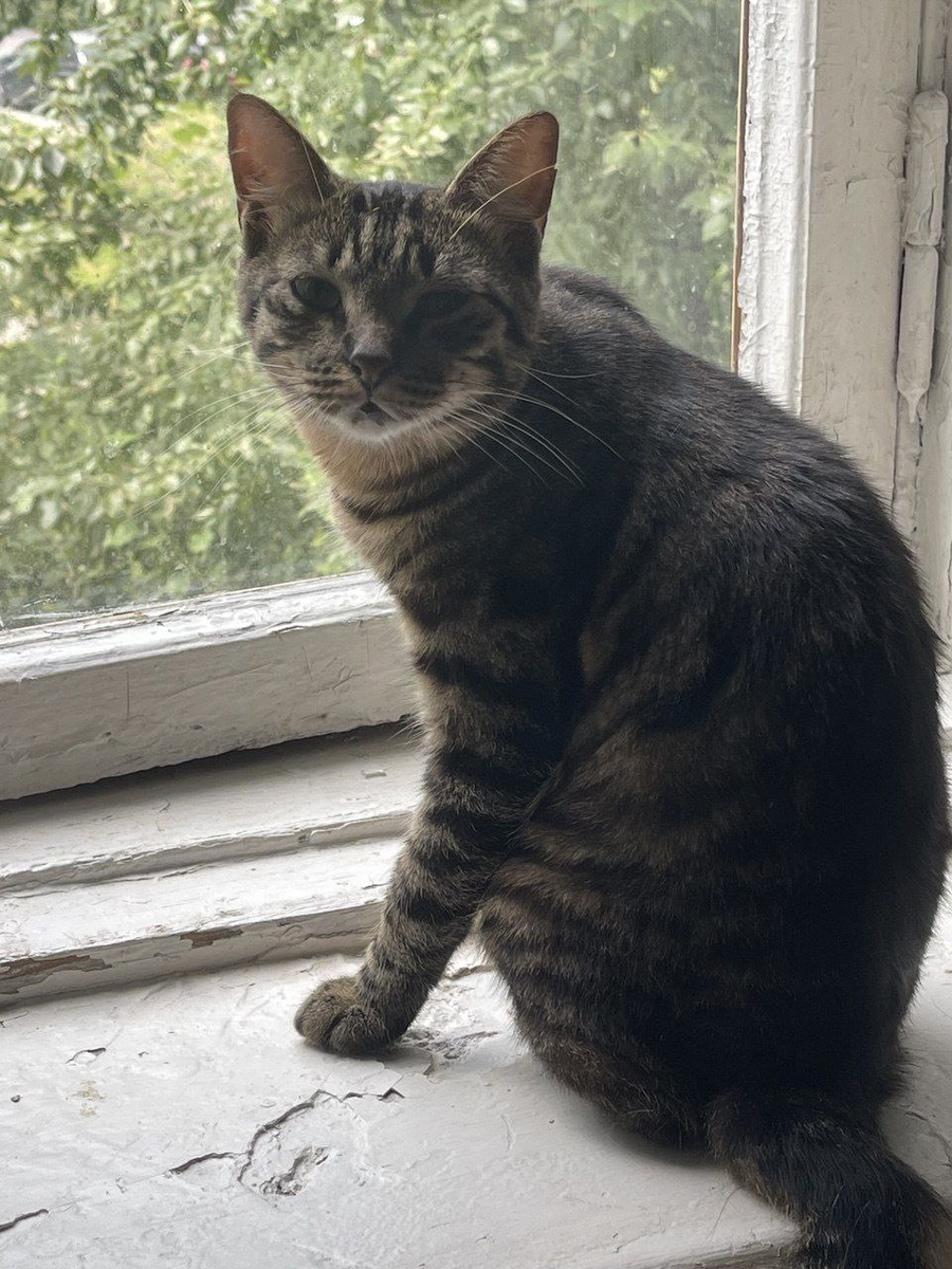 Показывайте давайте лучше, чтобы меня первого из "шпротов" забрали