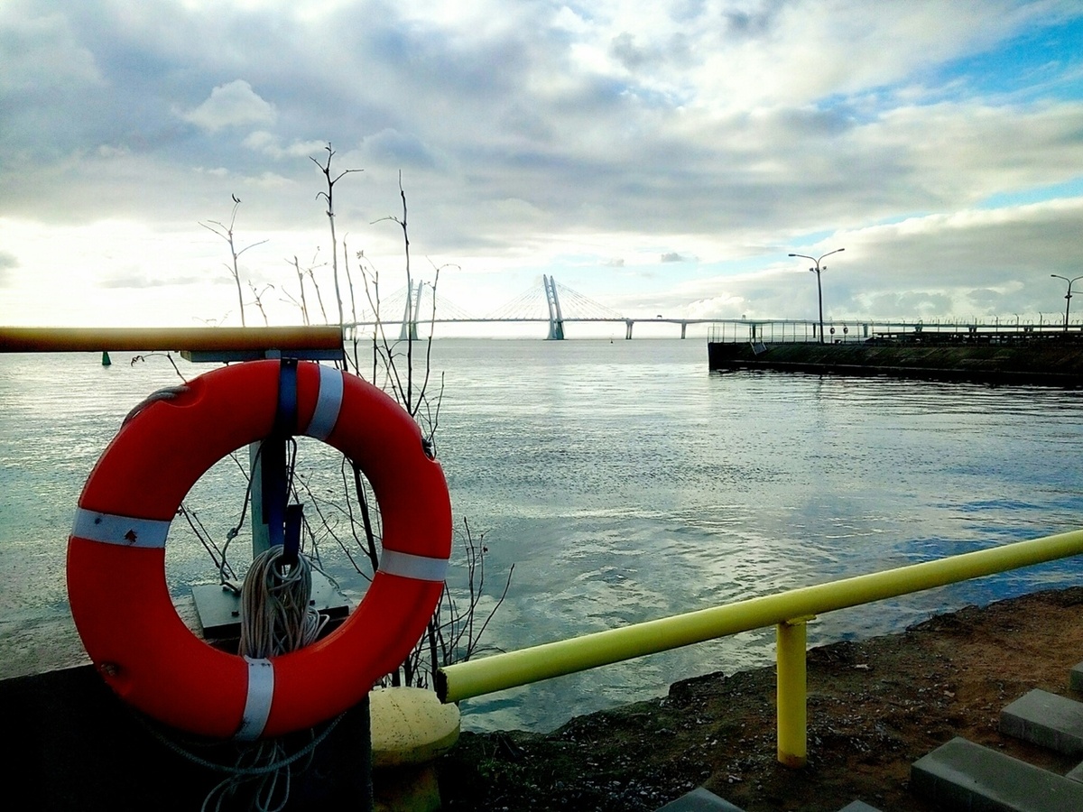 Спасение утопающих...короче, вы поняли. Еды это тоже касается. Фото автора