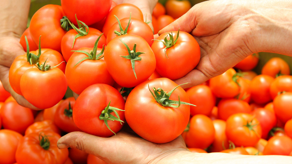 Результат "суперурожайных" ранних сортов - обещания на пакетах не совпали с реальностью