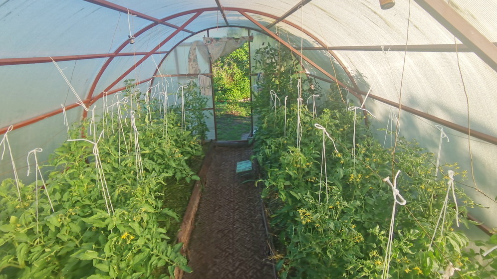 Ведение точных записей помогает не обманываться цифрами