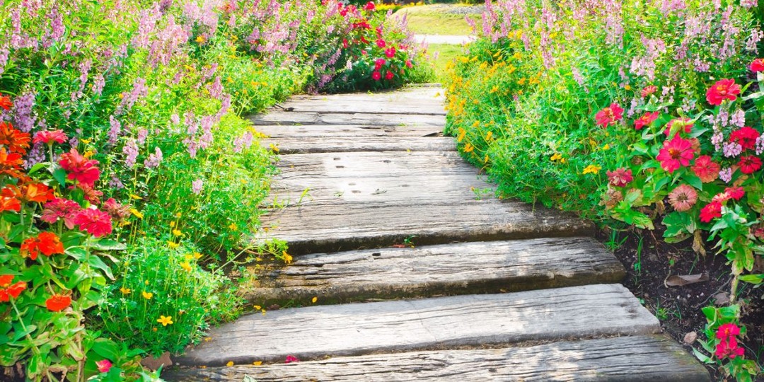 Что посадить вдоль дорожек — 16 цветов, которые я советую всем
