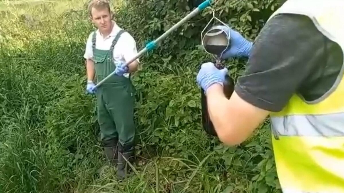    Фото: t.me/radionovasg