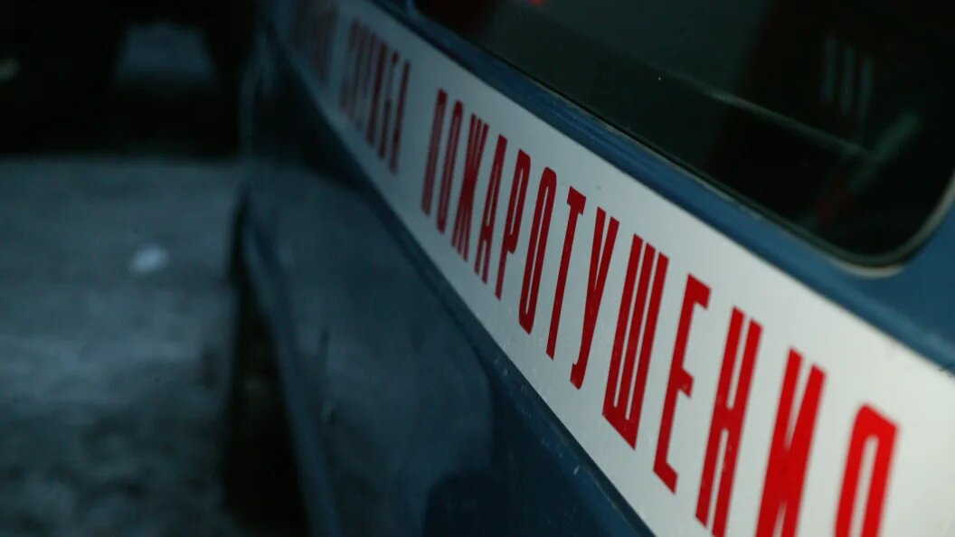    Фото: Телеканал Царьград