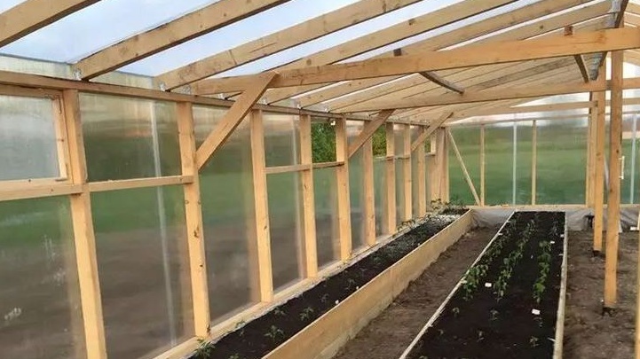 Моя бюджетная теплица - потратил 3200 рублей, получаю урожай на 9600