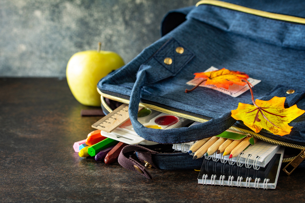     Аналоговая сумка: что это такое, как она выглядит и почему нужна каждой из нас