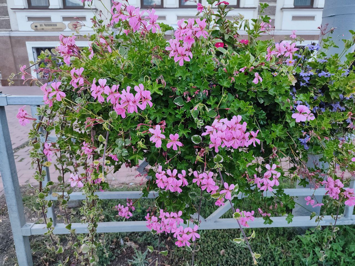 Фото автора.