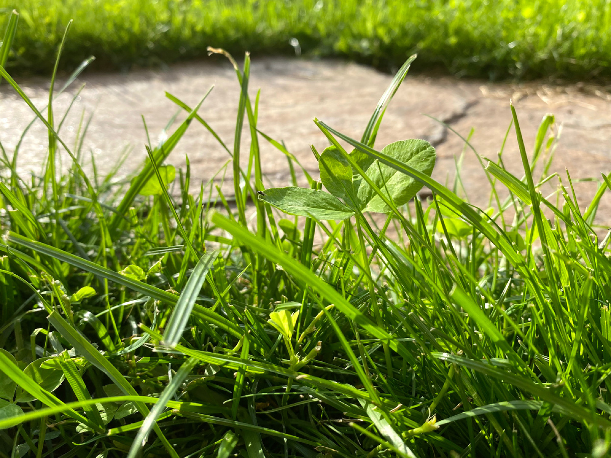 (все фото из архива автора 🤳)