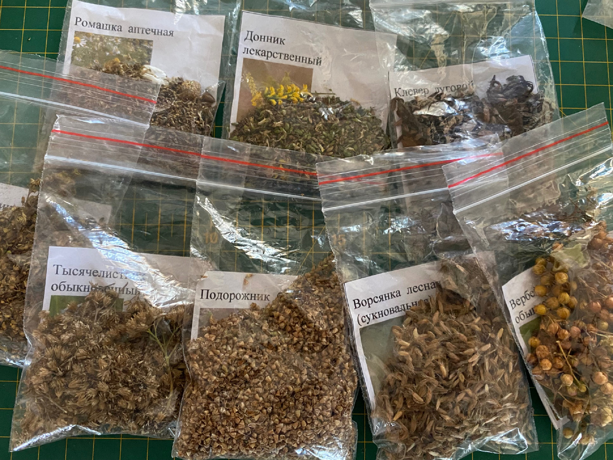 Появляются свои семена 🌾