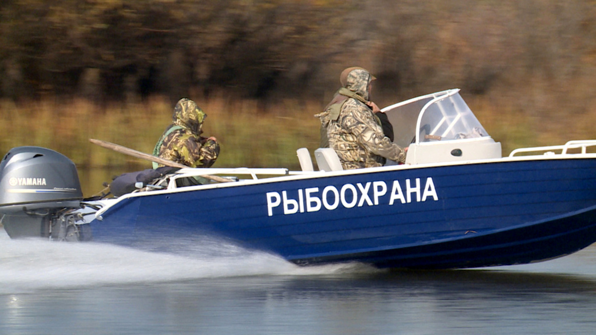 Фото: Сахалино-Курильское ТУ Росрыболовства