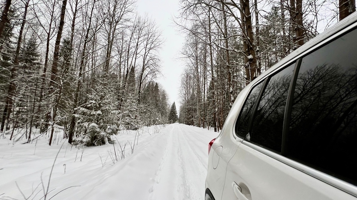 фото автора канала