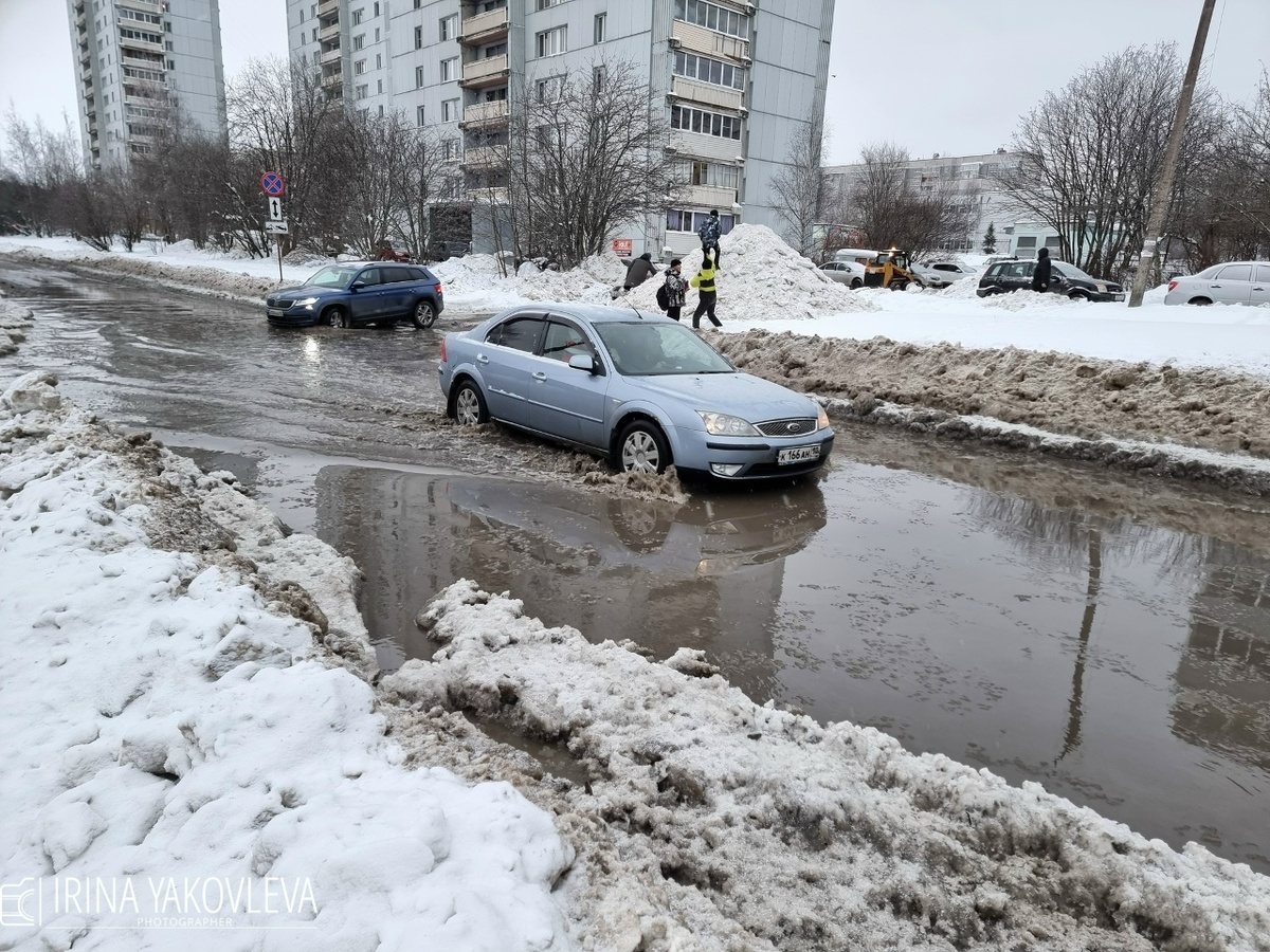    Ирина Яковлева