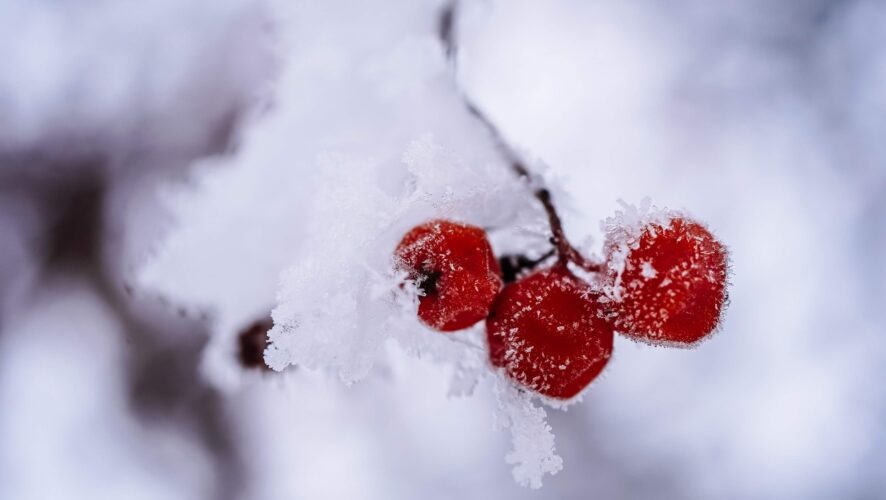    Фото: KazanFirst