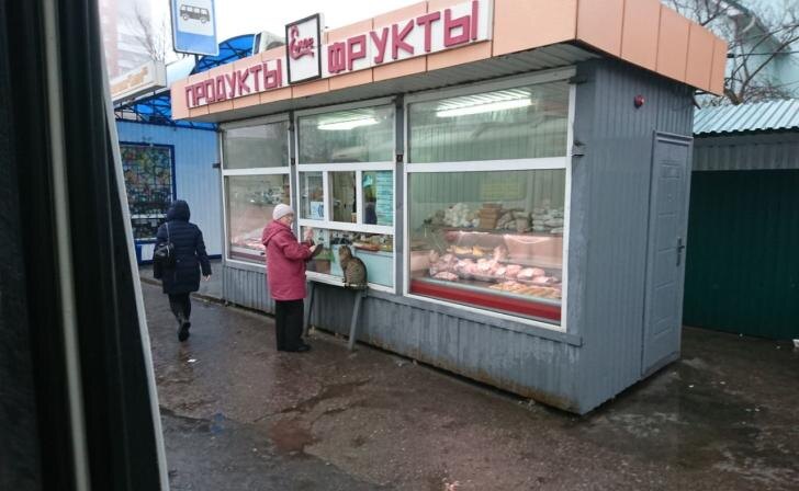    фото Курские известия