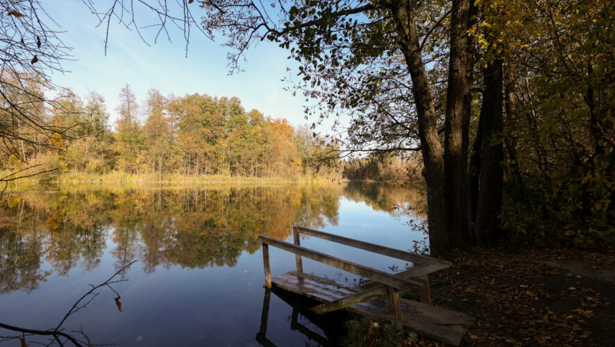    Фото: KazanFirst