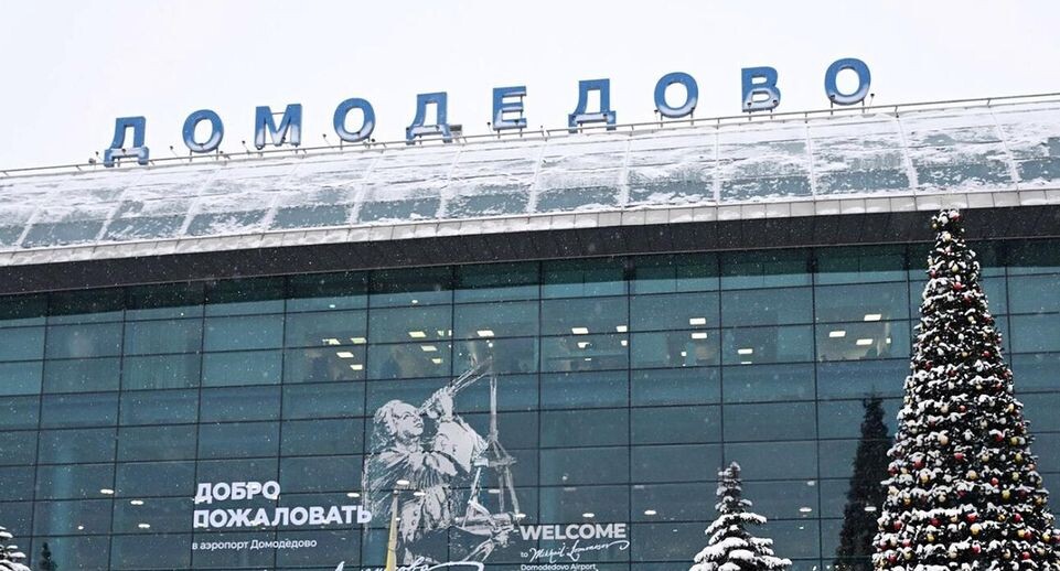    Аэропорт Домодедово. Пелагия Тихонова / РИА «Новости»