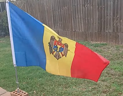 Фото: Prt Scr youtube.com / ZakIsInTheHouse