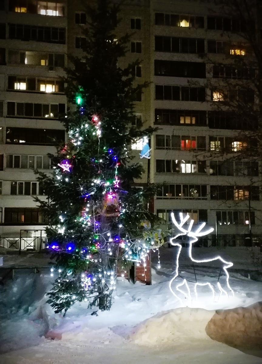 фото автора 