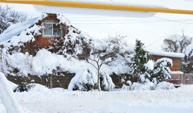 Фото автора. 18.01.2026. Станица.