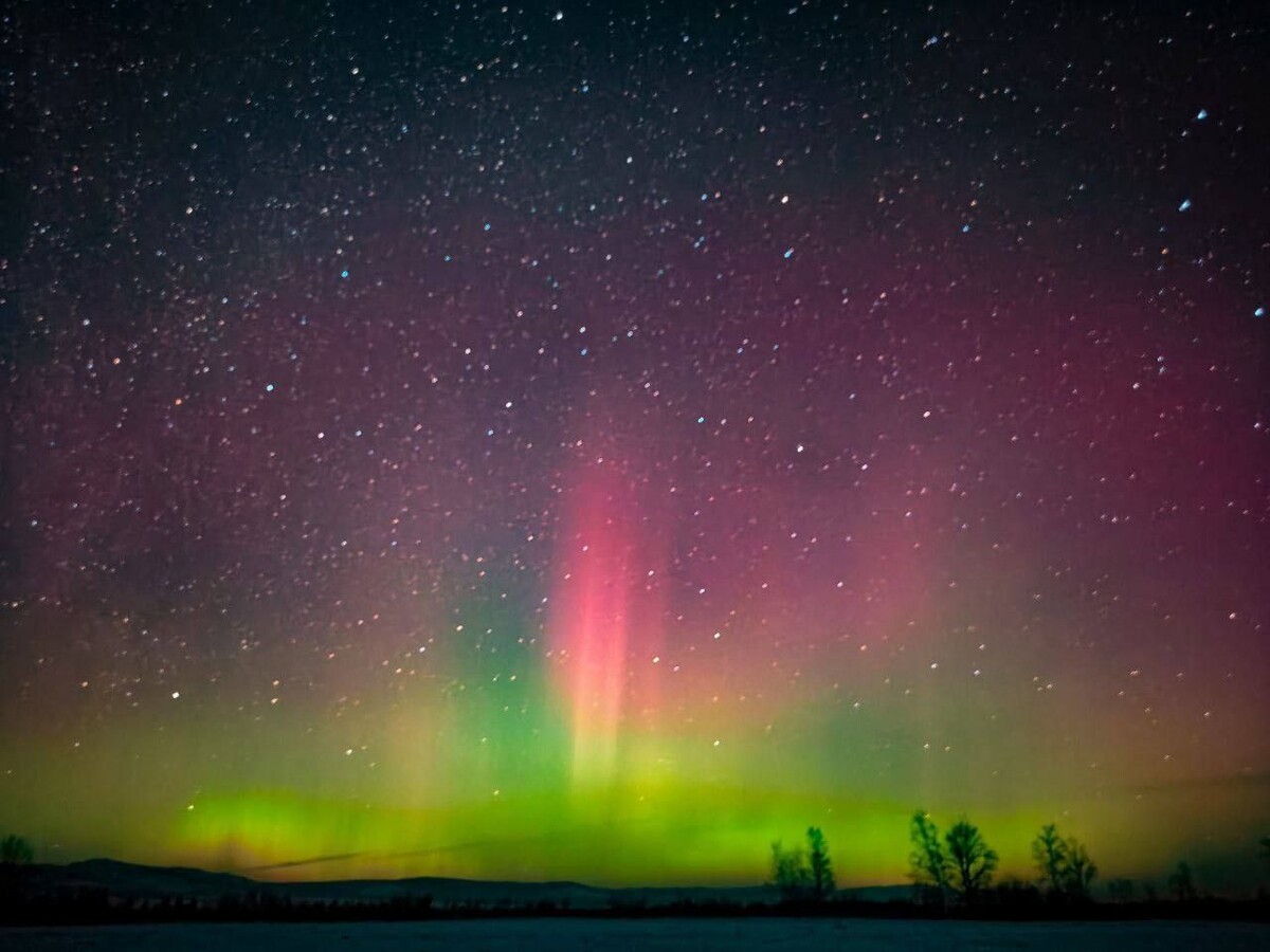   Фото: Владимир Гордеев   📷   Фото: Владимир Гордеев   📷   Фото: Владимир Гордеев