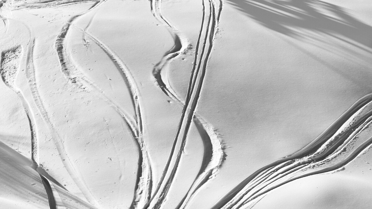    Фото: Lizard/Shutterstock/Fotodom