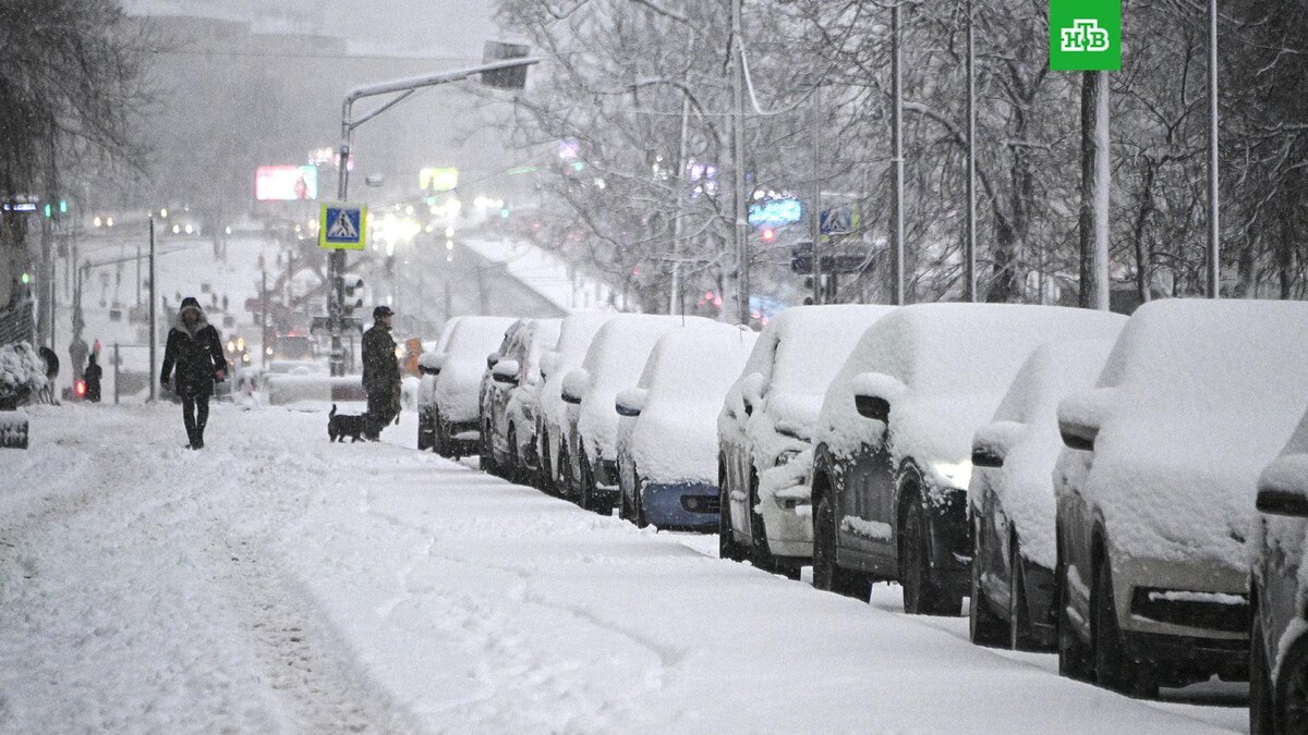    Фото: РИА Новости © 2026, Владимир Федоренко
