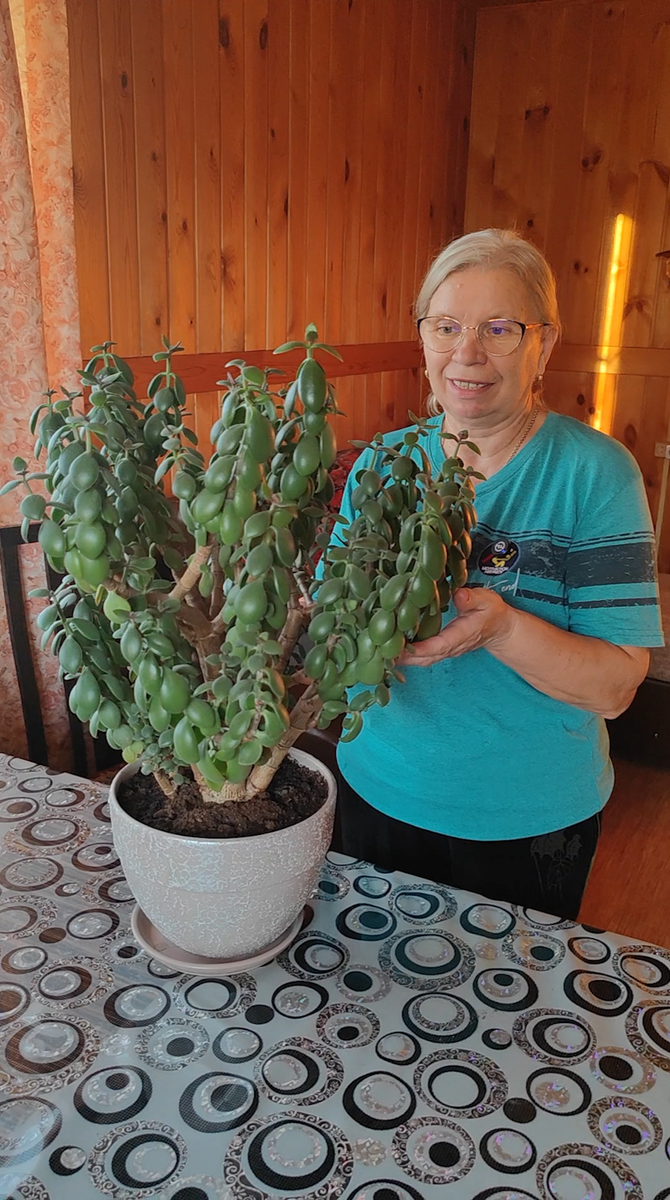 Прошлогодний подарок от невестки.