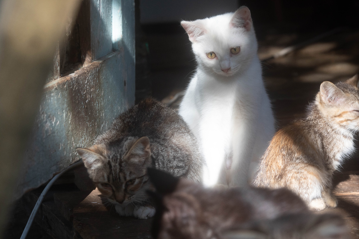 Сидел и хныкал я там тогда