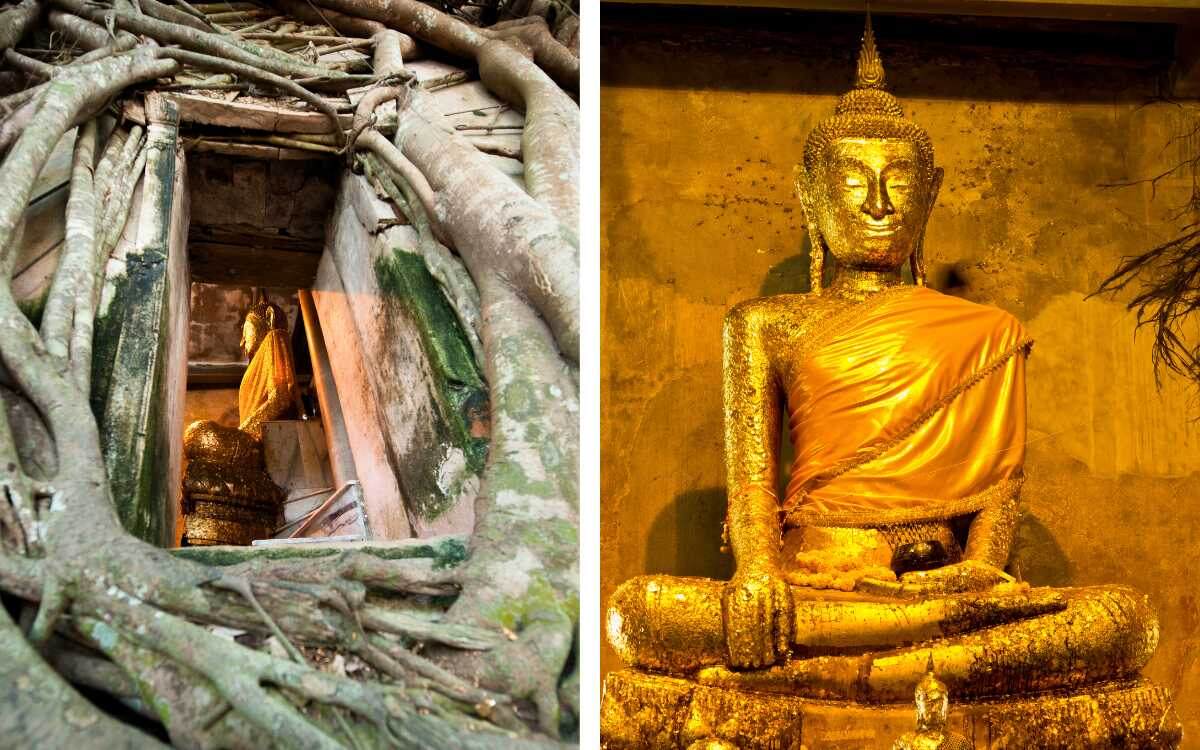 Источник: Sputnik8