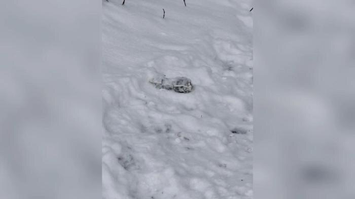 Новое химоружие ВСУ. Обложка © Telegram / «Опасный бизнес»