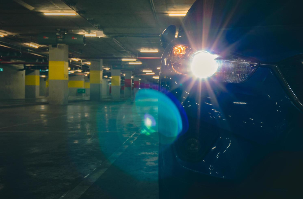 Фото с vecteezy.com