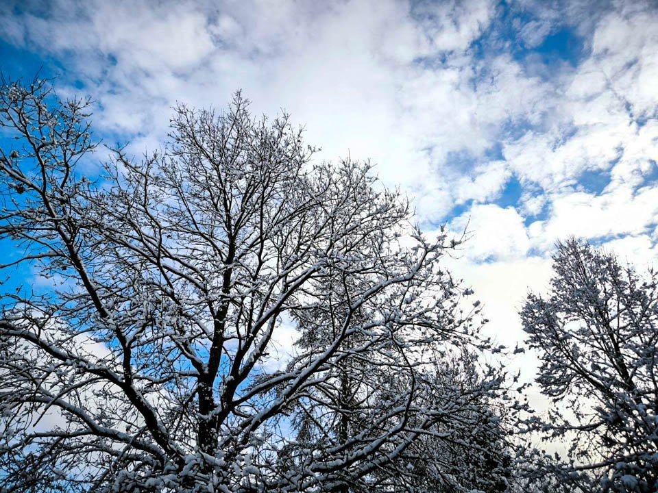    Фото: REGIONS/Роман Малышенко