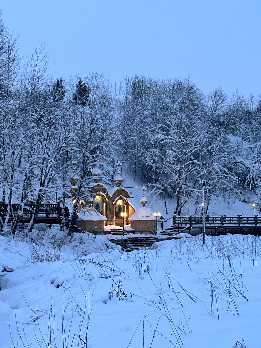 Фотография автора