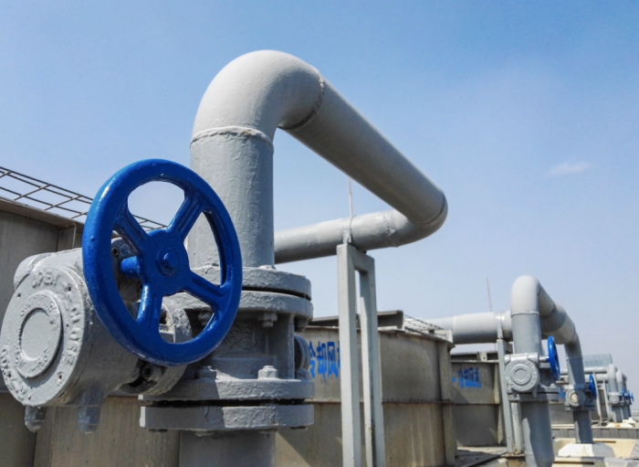    xb100 / ru.freepik.com