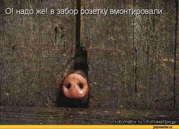 Картинка из открытого сайта Яндекс