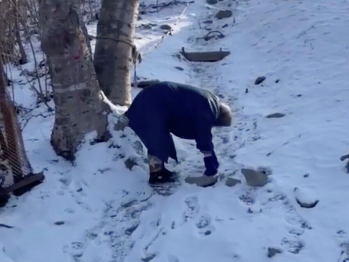    Кадр видео, на котором пенсионерка в Находке вынуждена добираться из дома до магазина по скользкой горке на четвереньках | © Соцсети