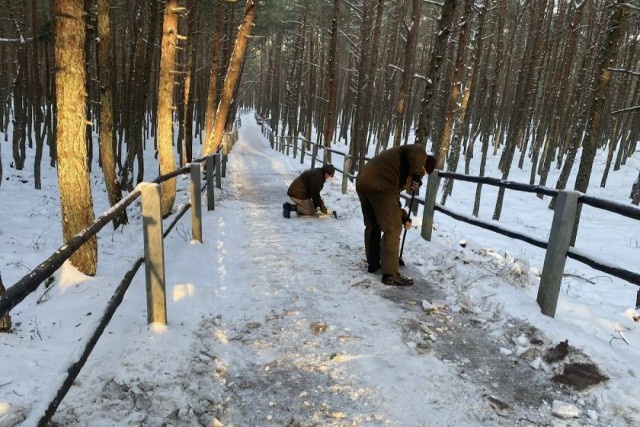   Фото: нацпарк «Куршская коса»