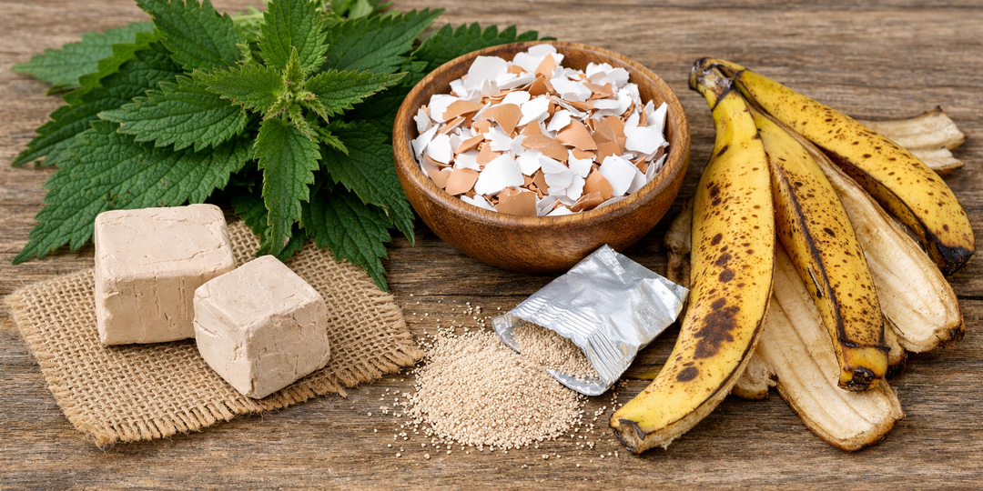 Рецепты натуральных подкормок для сада и огорода