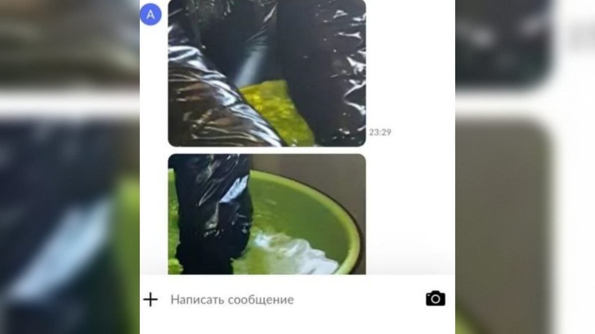 Фото: Instagram*