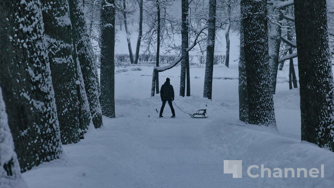 Фото: Анастасия Илюшина/47channel, архив