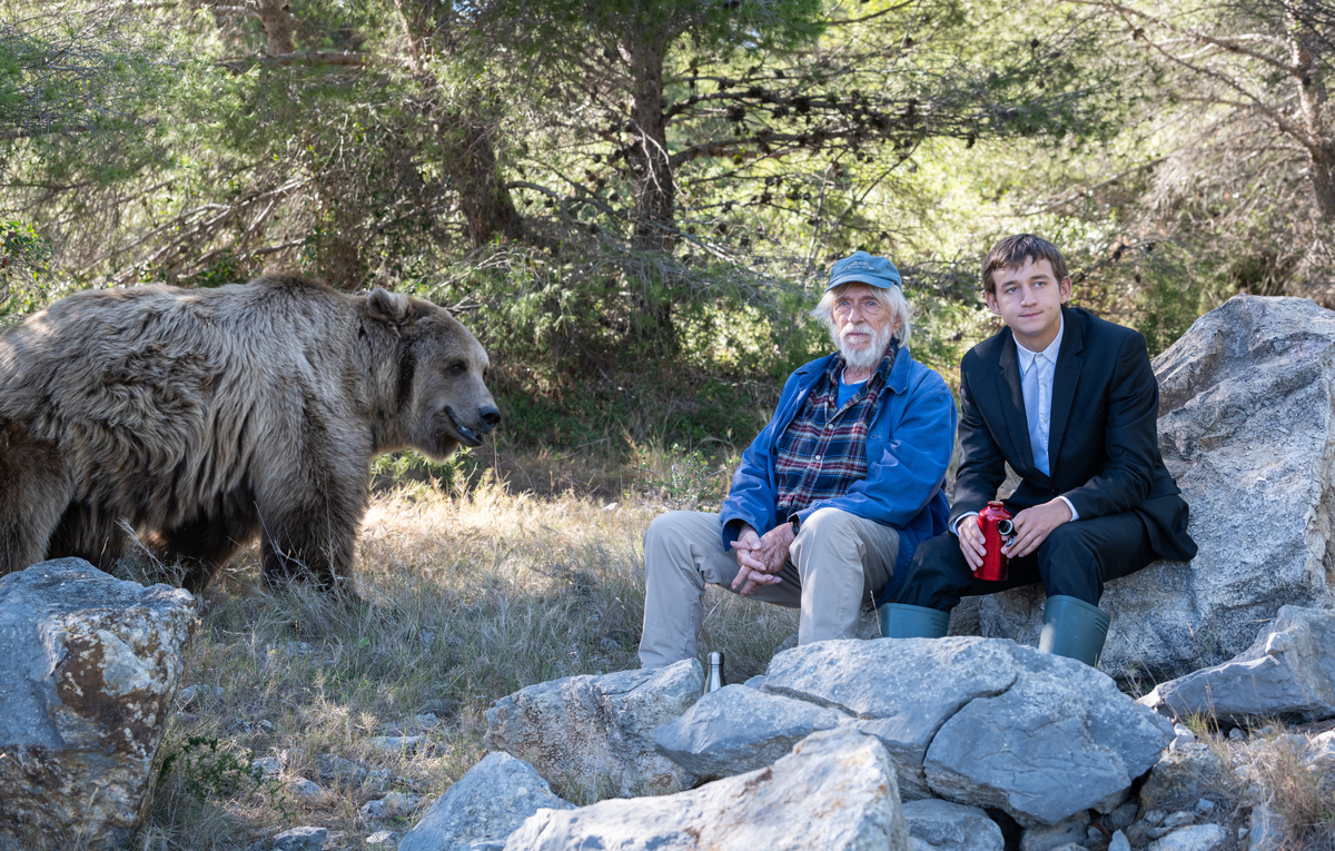    Кадр из фильма "Человек, который видел медведя, который видел человека"  Pauline Maillet