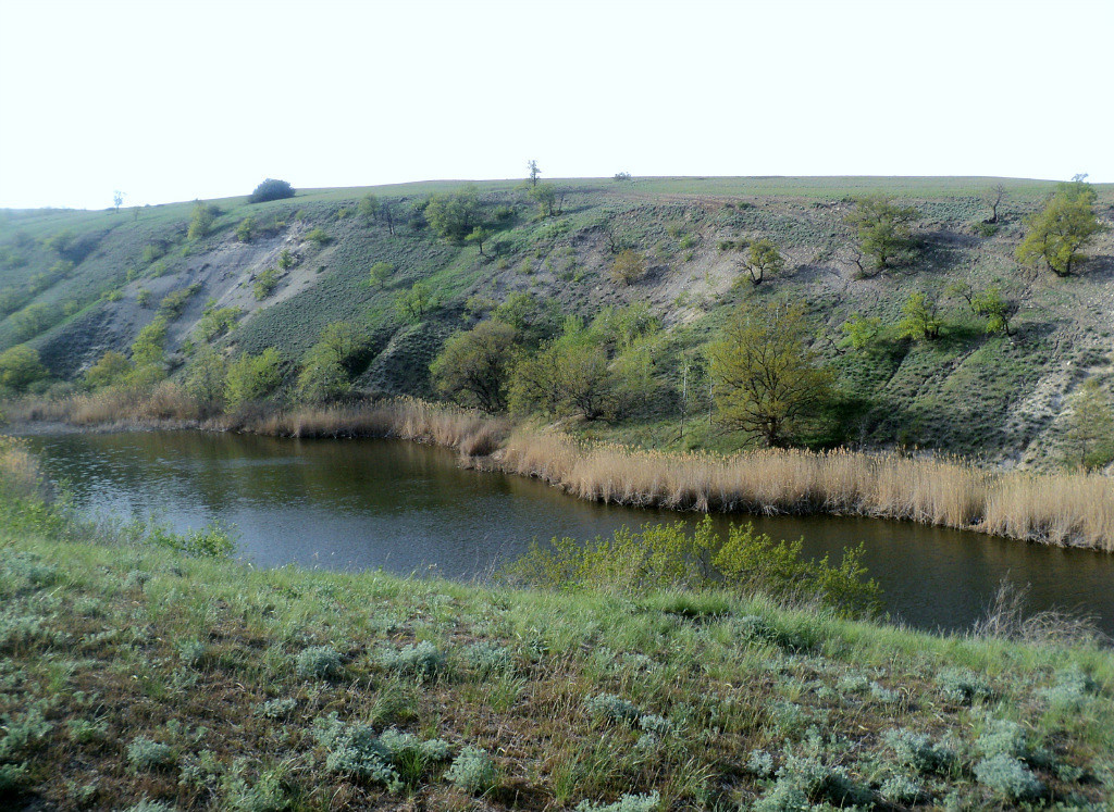 Река Пролейка (Фото https://ok.ru/group/46129230643277/album/50779761868877/494271603277) 