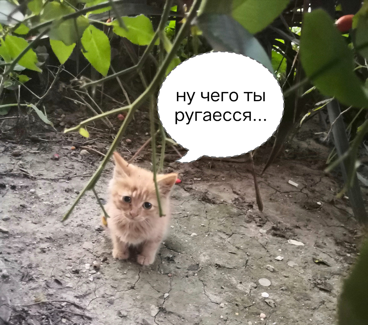 Изображение создано автором канала "ГерАтриум"