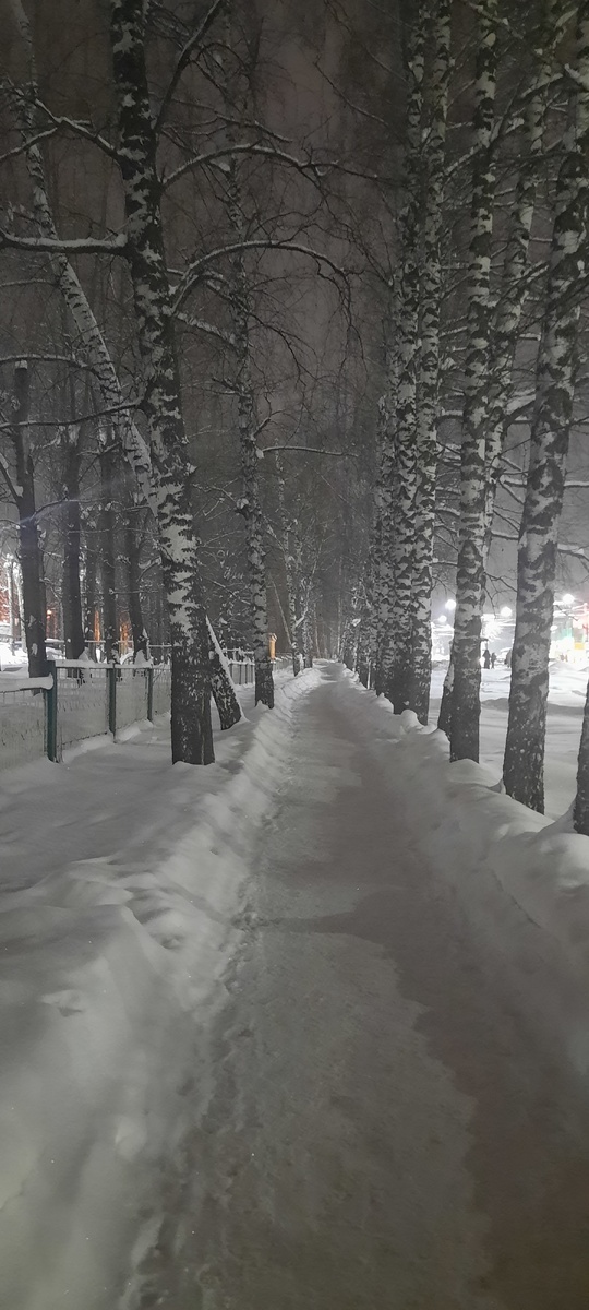 Как зима в этом году прекрасная: снежная, чистая, морозная! 👍👍👍👍