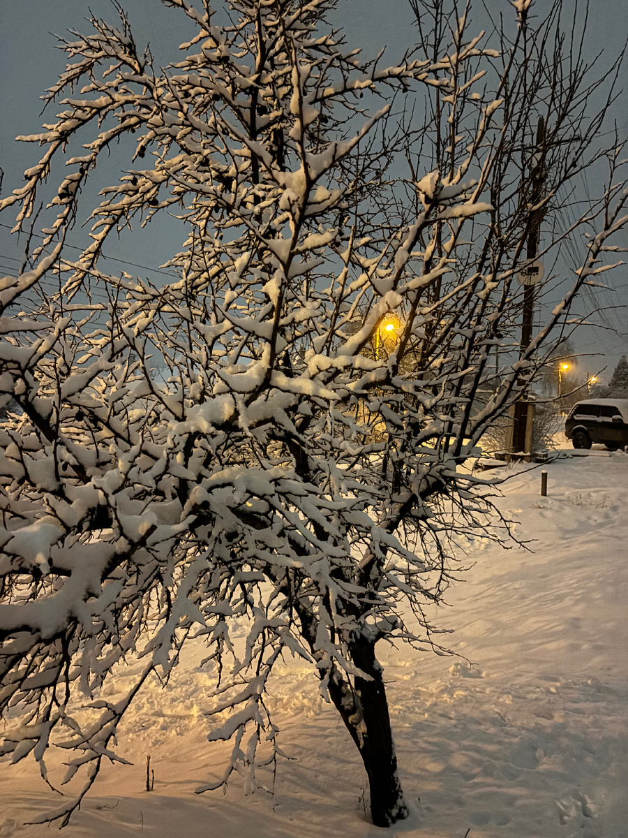 Нетипичная зима в Волгограде 