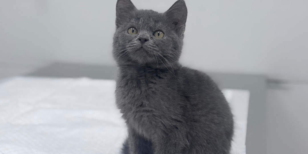 А что за кадром? Новости канала Зоомама